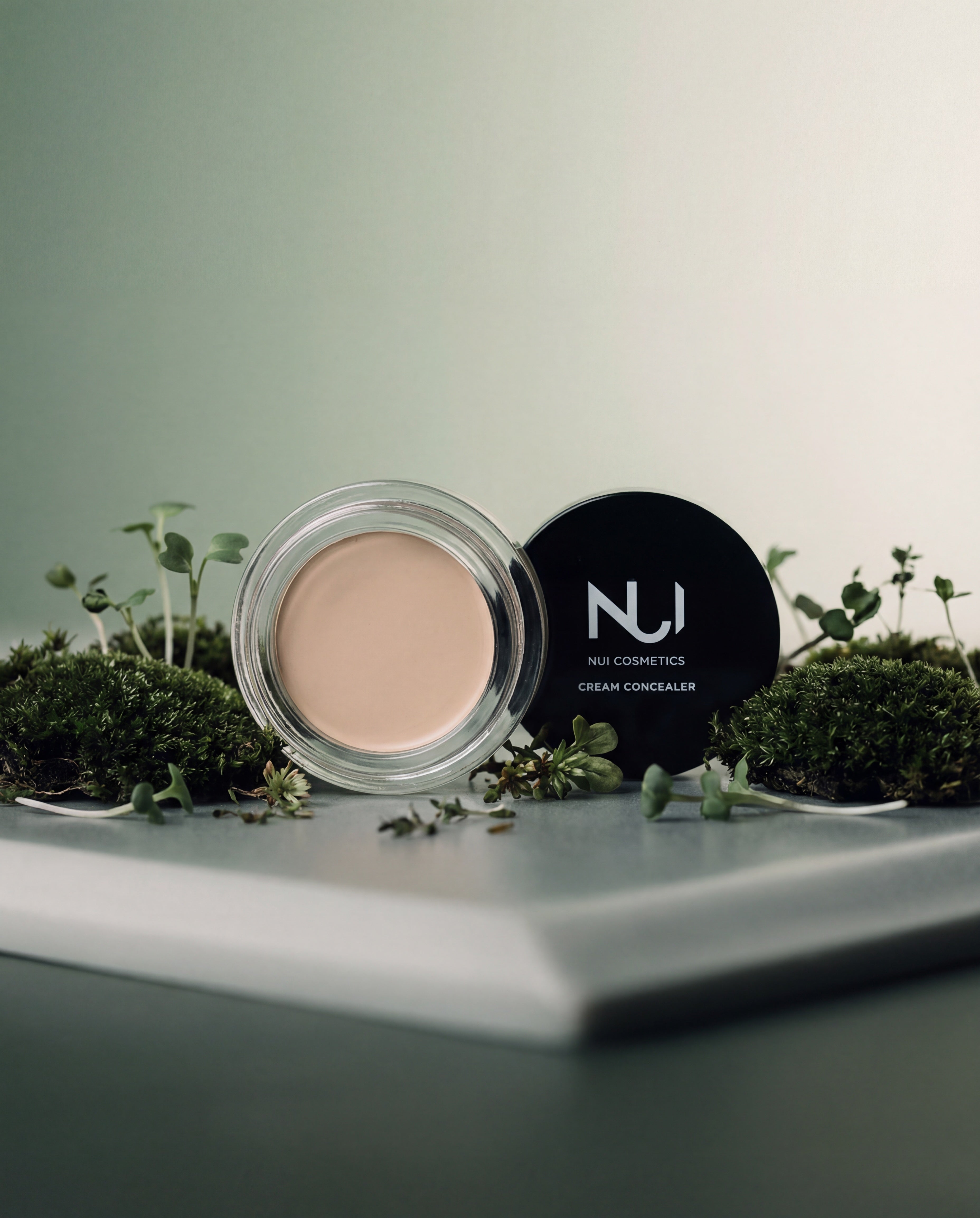 Natural Cream Concealer