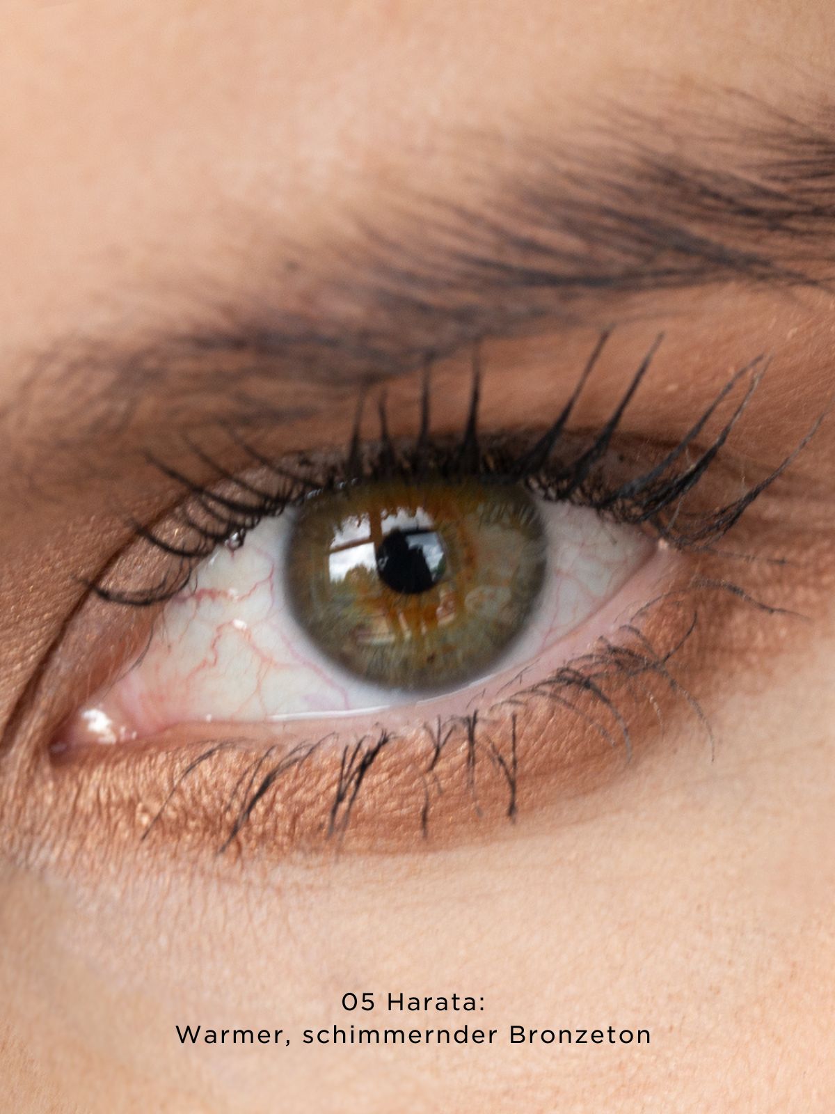 Natural and Vegan Eyeshadow Palette 01